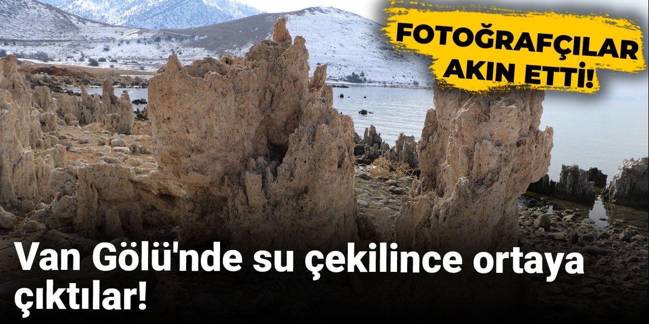 Van Gölü'nde su çekilince ortaya çıktılar! Fotoğrafçılar akın etti