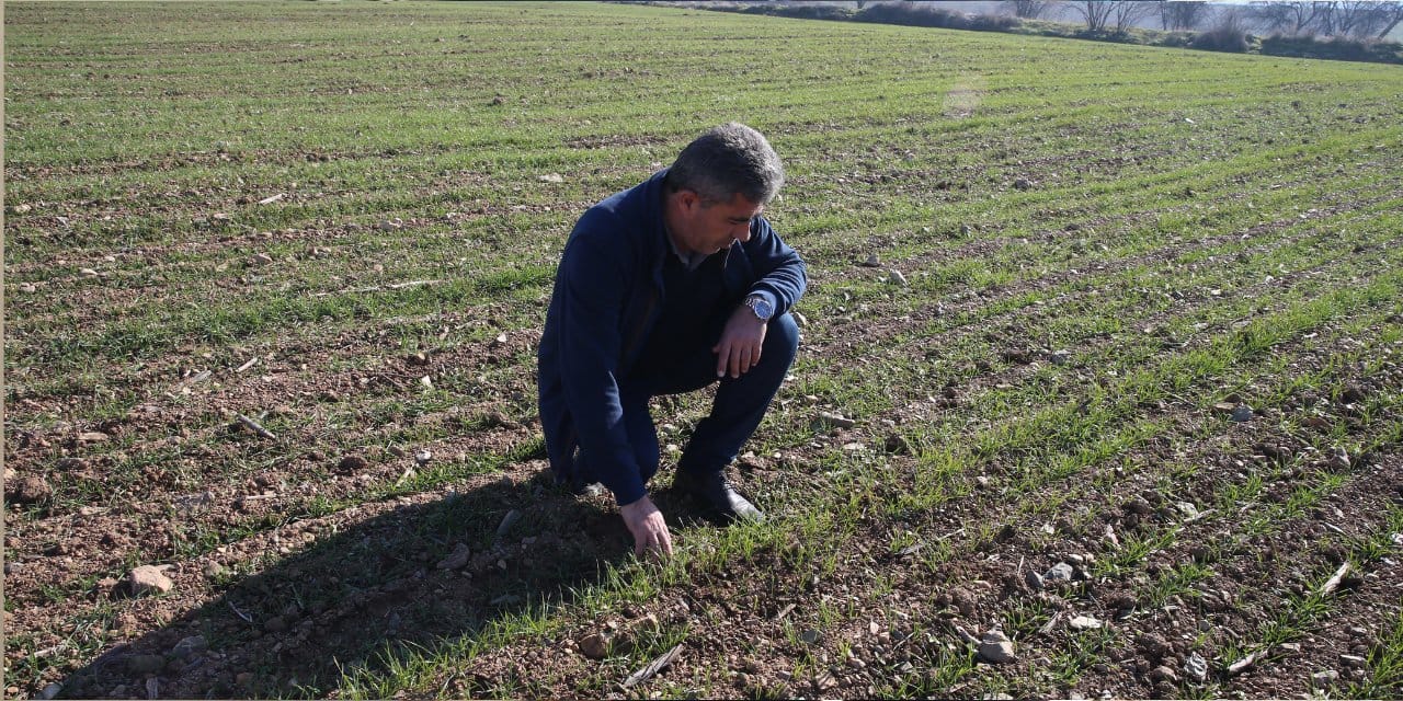 Tokatlı çiftçiler denemek için ekti