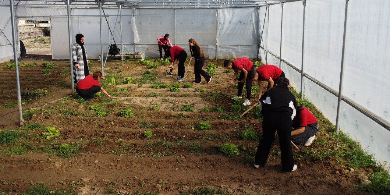 Meslek lisesinde tarım devrimi