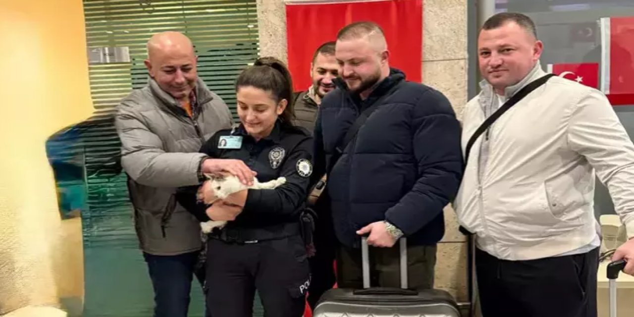 Otoparktaki araçta bırakılan kedi kurtarıldı