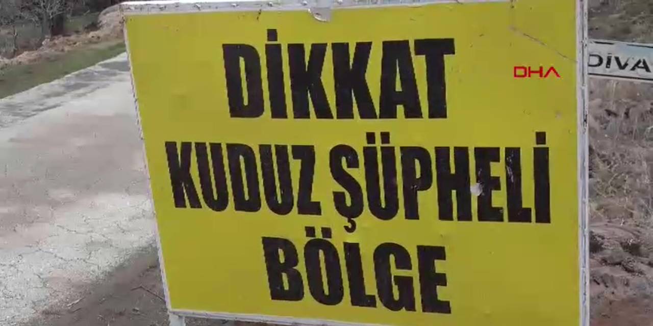 Şanlıurfa'da kuduz alarmı: Mahalle karantinaya alındı