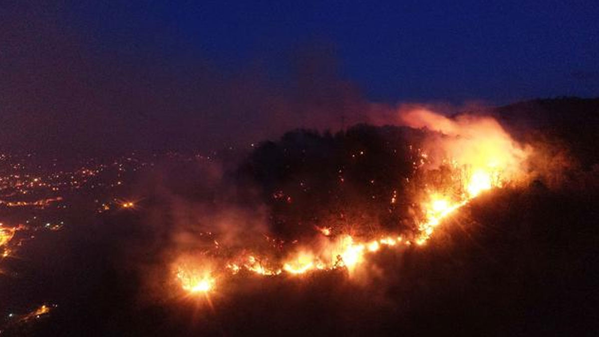 Giresun'da öğlen saatlerinde çıkan yangına müdahale edilemedi: Yangın büyüyor
