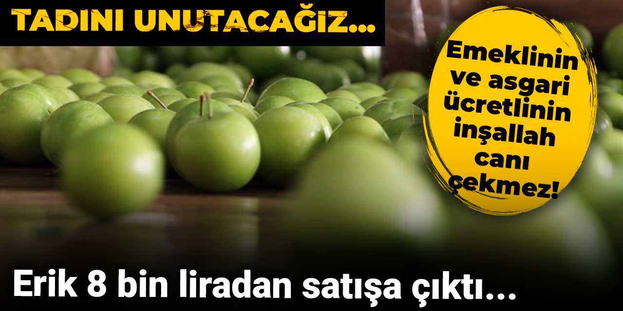 Emeklinin ve asgari ücretlinin inşallah canı çekmez! Erik 8 bin liradan satışa çıktı: Tadını unutacağız