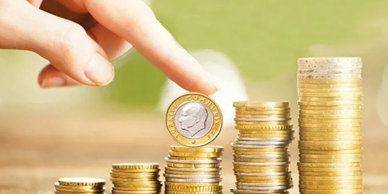 1 TL'si olan hemen kontrol etsin: Tanesi 456 lira