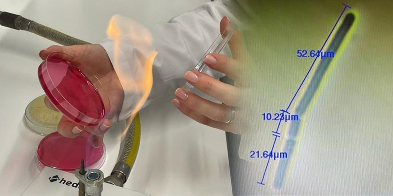 Türk Bilim insanlarından çığır açan keşif: Petrol kirliliği temizlemede önemli rol oynayacak