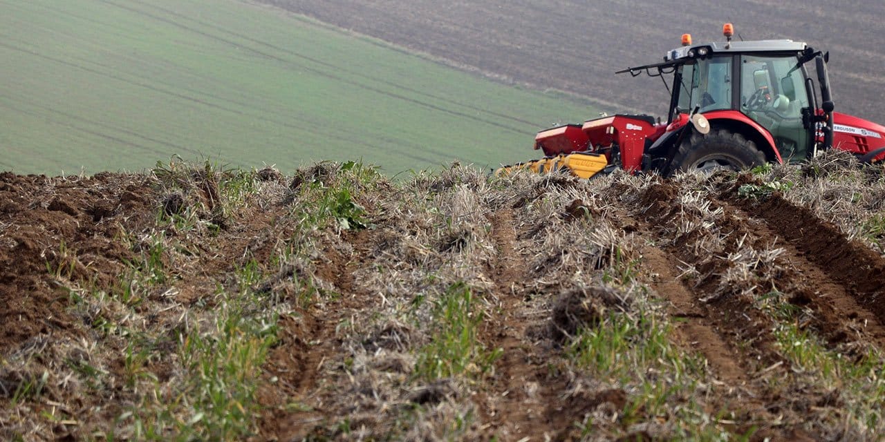 Ayçiçeğinde kuraklığa karşı en ideal ekim metodu belirlenecek