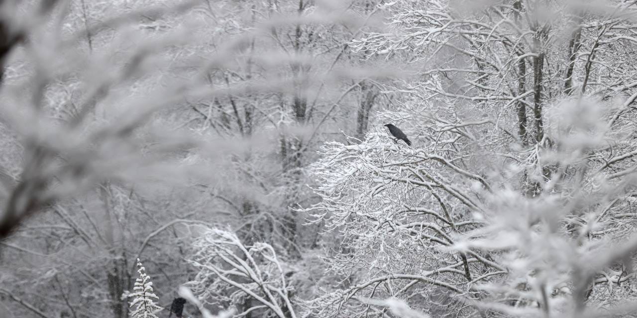 Trakya beyaz örtüyle kaplandı