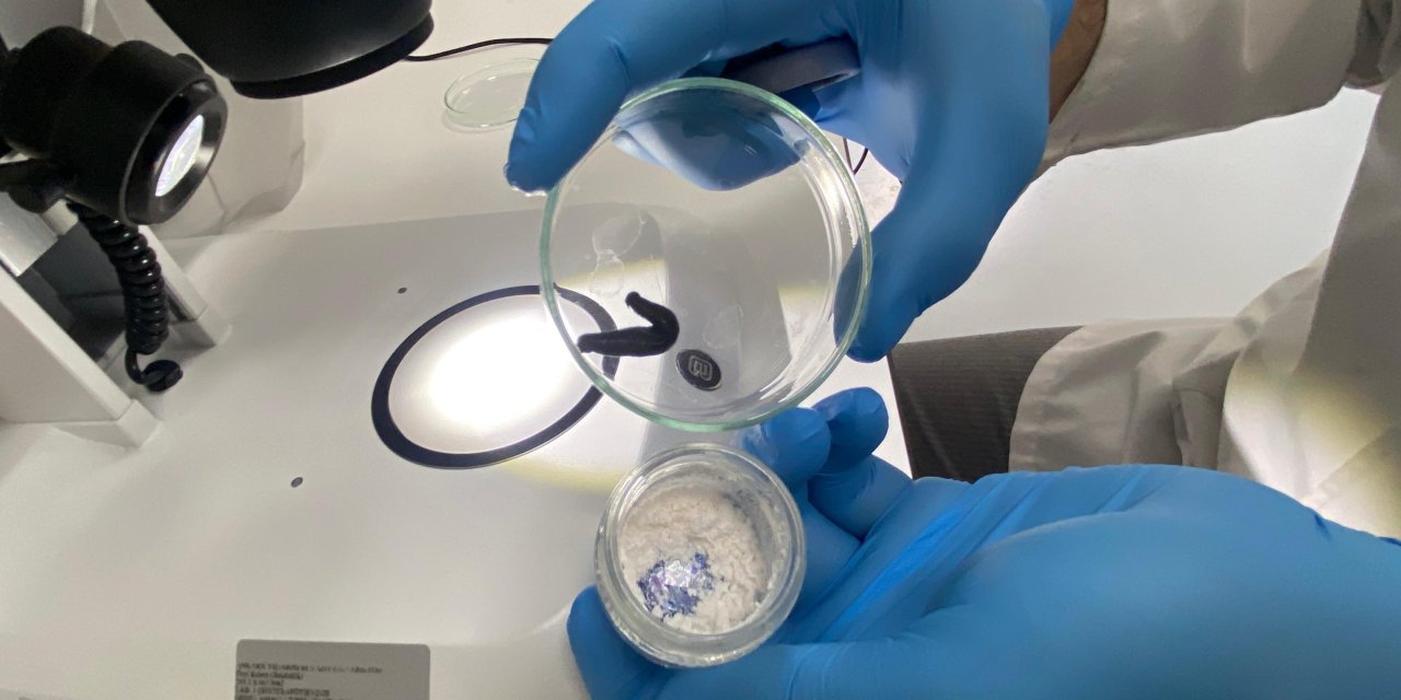 3500 yıllık bilgelik modern bilimle buluşuyor: Sülük salgısı ilaç sektöründe umut vadediyor