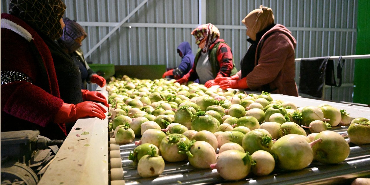 Turp yıkamaya başladı 26 milyon liralık yatırıma ulaştı