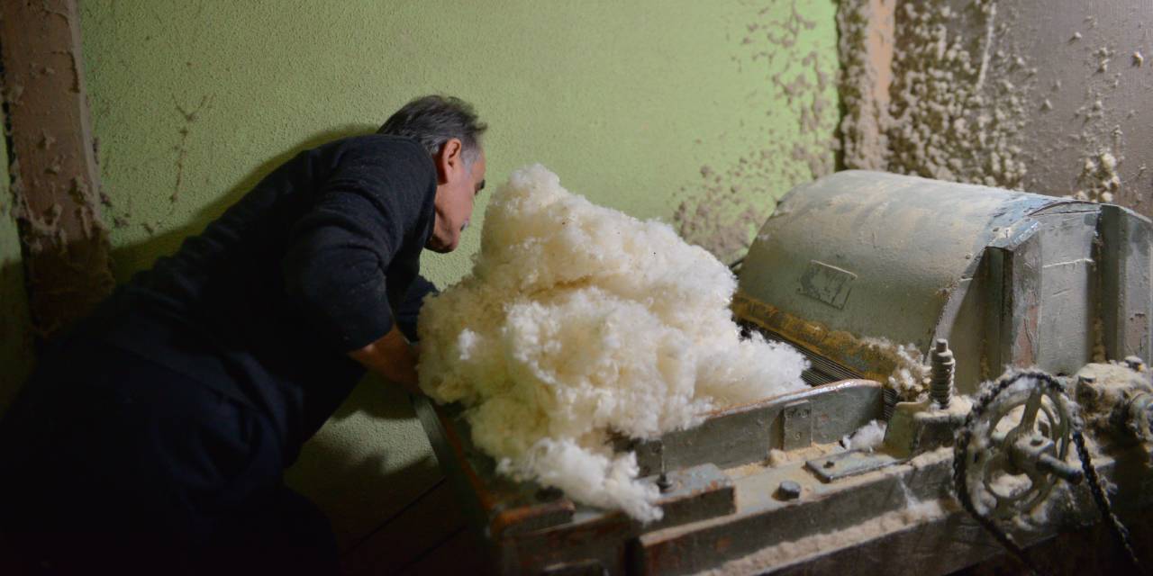 Bursa'da 12 tane kaldı: Fiyatı 3 bin lirayı buluyor