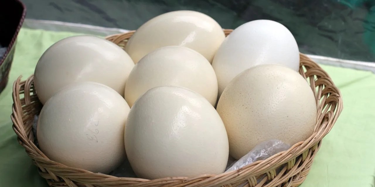 Kimyasal kullanmadan temizlik: Mimar Sinan'ın 500 yıllık yöntemi