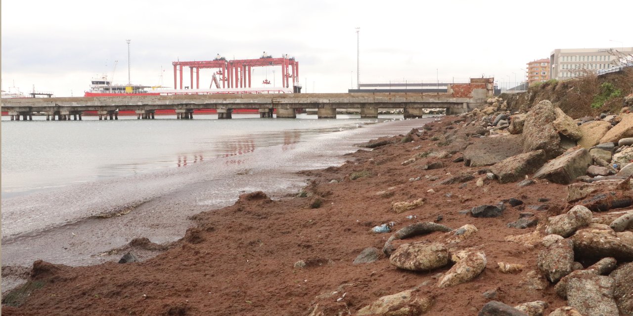 Tekirdağ'da sahil kırmızı oldu: Nedeni açıklandı