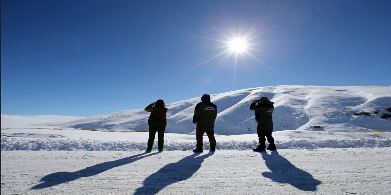 Kaçak avcılar ava giderken avlandılar