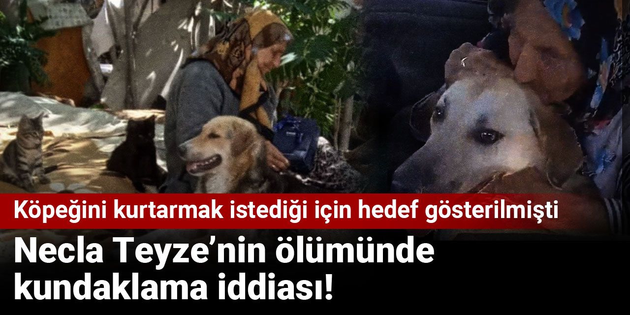 Necla Teyze’nin ölümünde kundaklama iddiası! Köpeğini kurtarmak istediği için hedef gösterilmişti