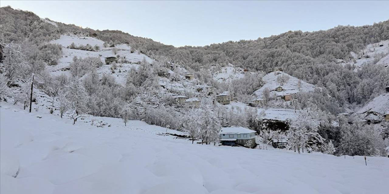 Karda yiyecek bulamayınca evin bahçesine girdiler