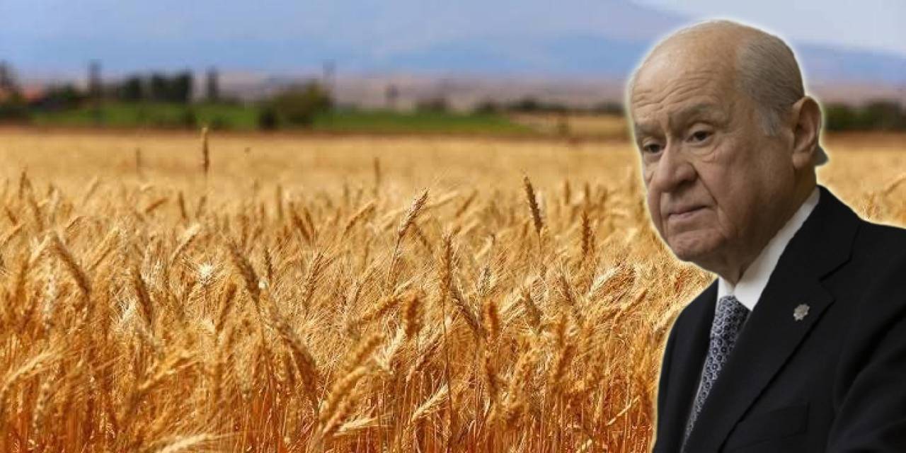 İktidar ortağı MHP'den askıda buğday kampanyası