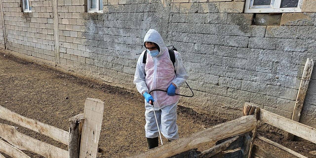 Şap hastalığı alarma geçirdi