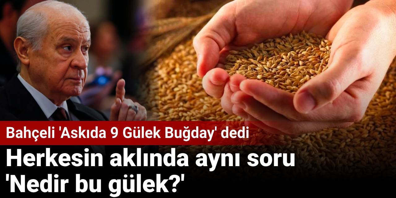 Herkesin aklında aynı soru 'Nedir bu gülek?': Bahçeli 'Askıda 9 Gülek Buğday' dedi