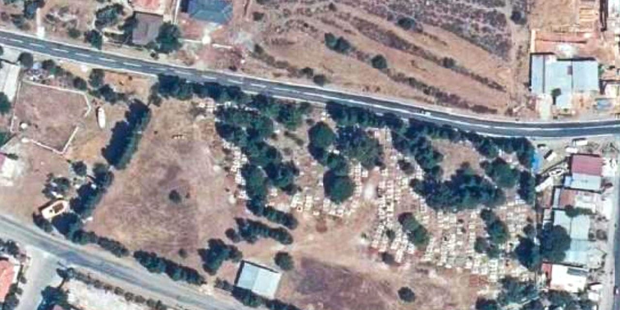 Meyve sebze ekmeyi bıraktılar: Tarlalarda üretip tanesini milyon dolara satıyorlar