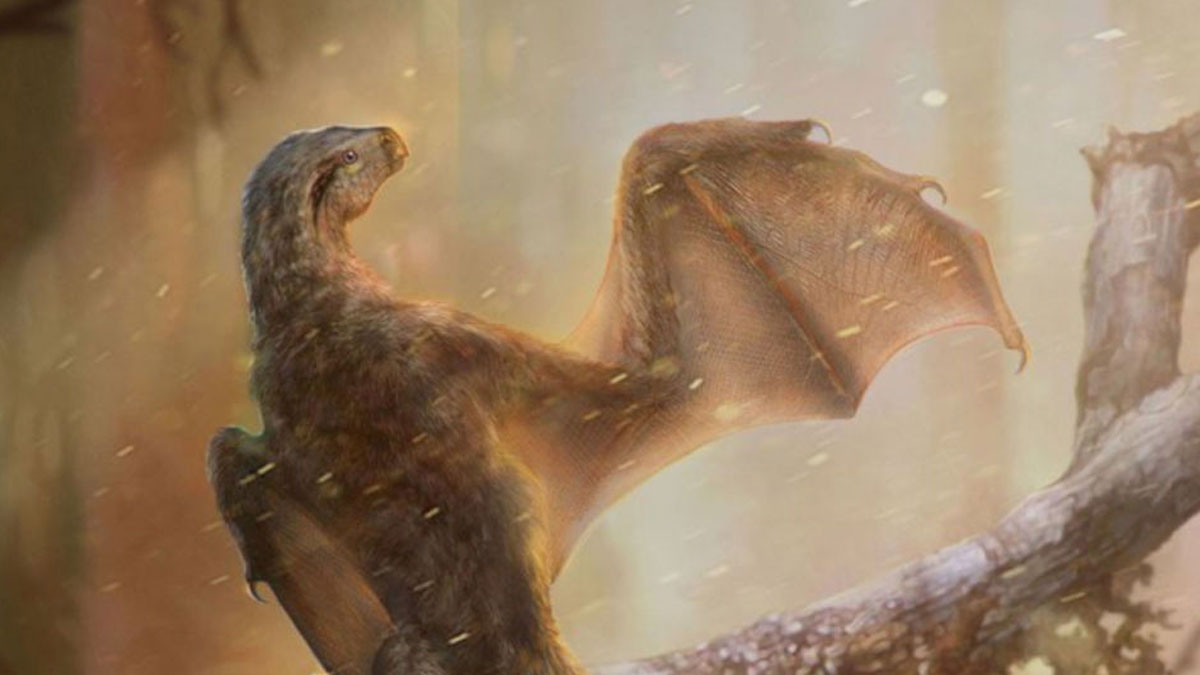 Dinozorlardan Bile Eski: 130 Milyon Yıl Önceden Kalıntıları Bulundu!