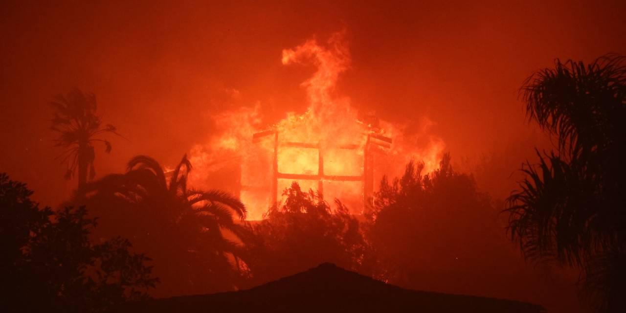 Binlerce hektarlık alan küle dönmüştü: İtfaiye şefi görevden alındı