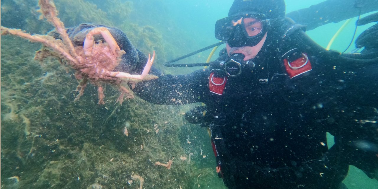 Gemlik'te denizin altında bulut gibi ortaya çıktı
