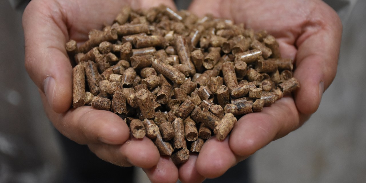 Günlük 40 ton üretim: Ahşap atıklar ekonomiye kazandırılıyor