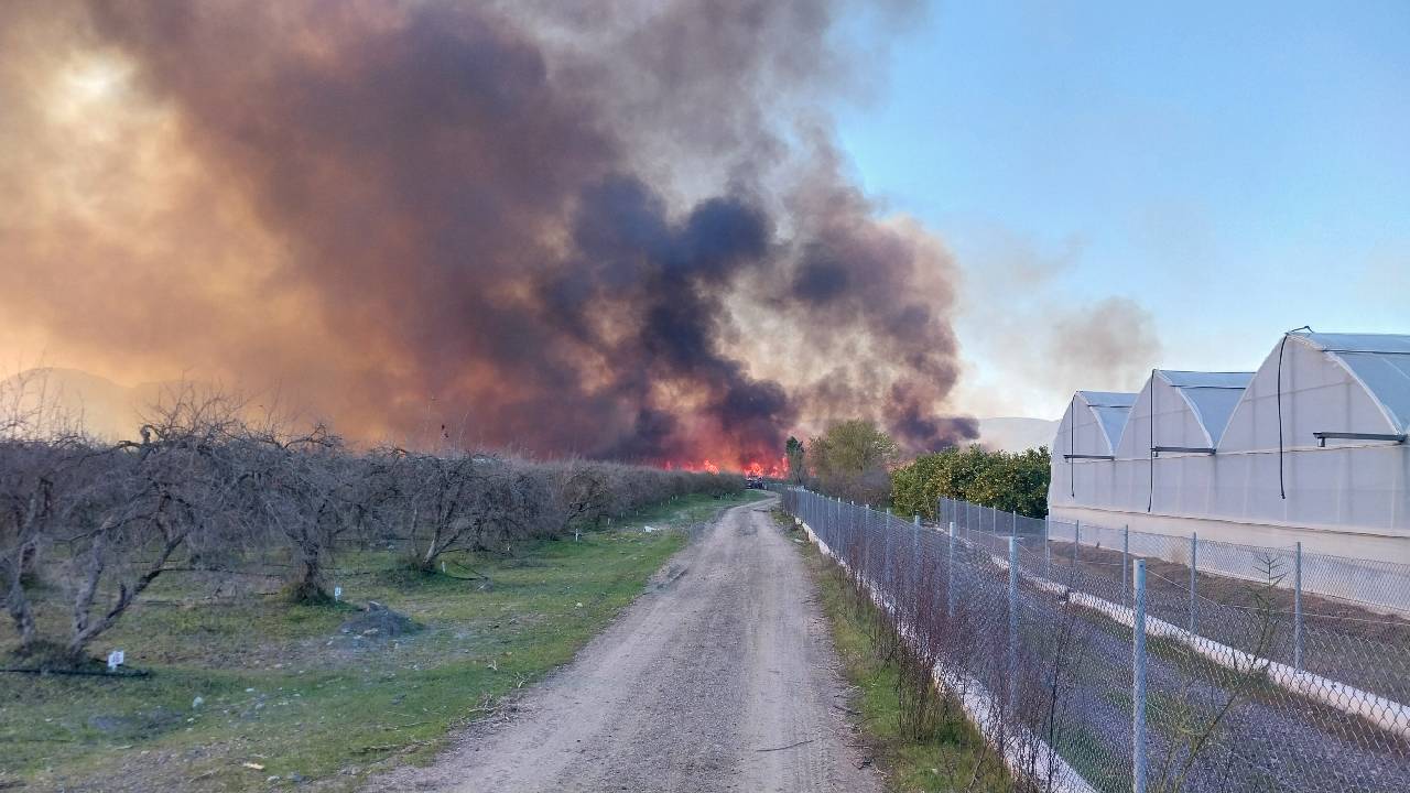 Muğla'nın Köyceğiz Gölü yakınlarında yangın çıktı