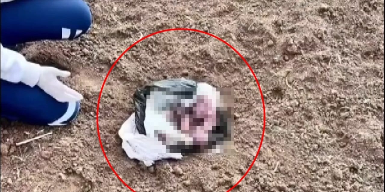 Şırnak'ta yenidoğan kız bebek poşetin içinde araziye atılmış