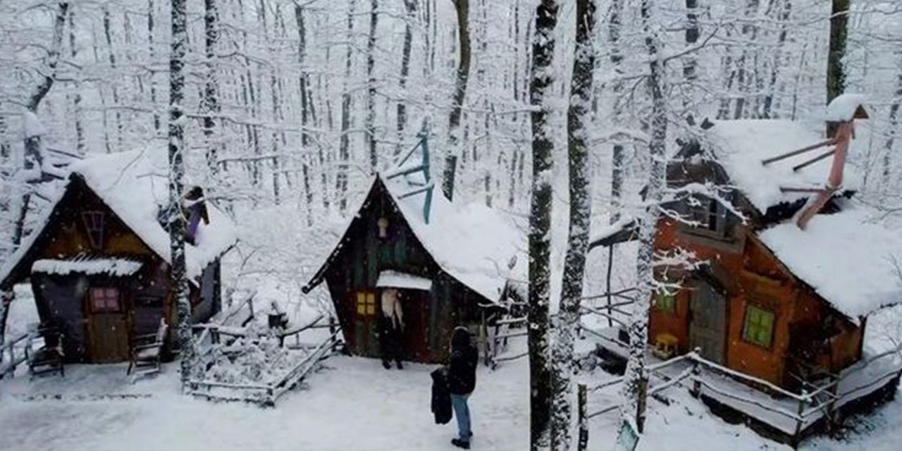 Avrupa'nın en büyük doğal yaşam parkı beyaza büründü