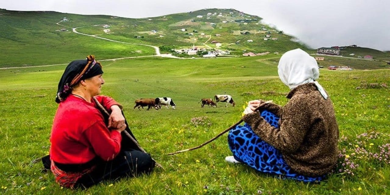 Rizeliler isyanda: Zengin alacak köylü bakacak