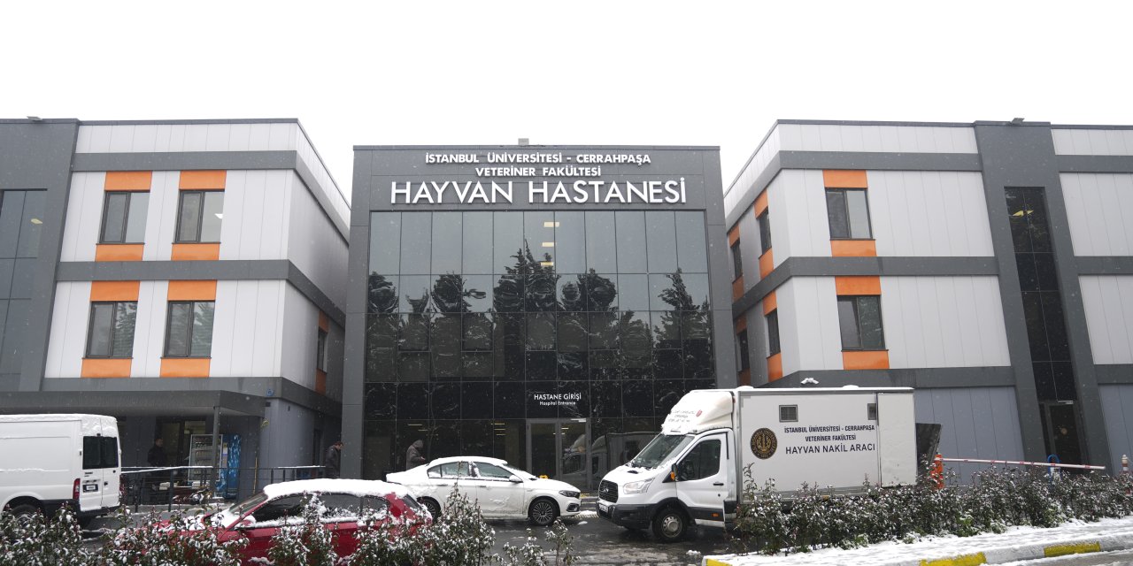 Yenilenen hayvan hastanesi her türlü hayvana tedavi imkanı sunuyor: Rize’den şahinini getiren bile var!