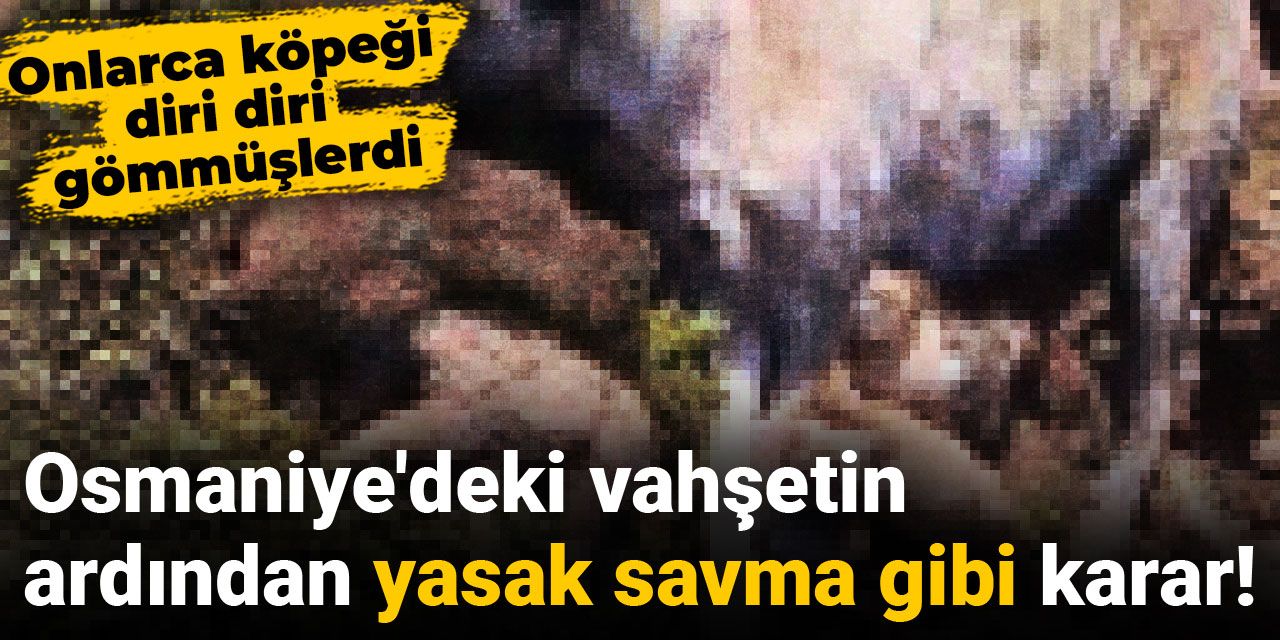 Osmaniye'deki katliamın ardından yasak savma gibi karar