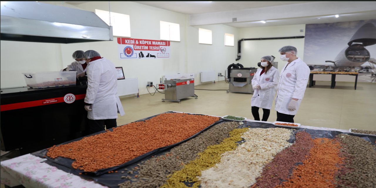 Patili dostlar için yemek artıklarından 1ton mama üreten lise öğrencileri taleplere yetişemiyor: Hedef 4 ton