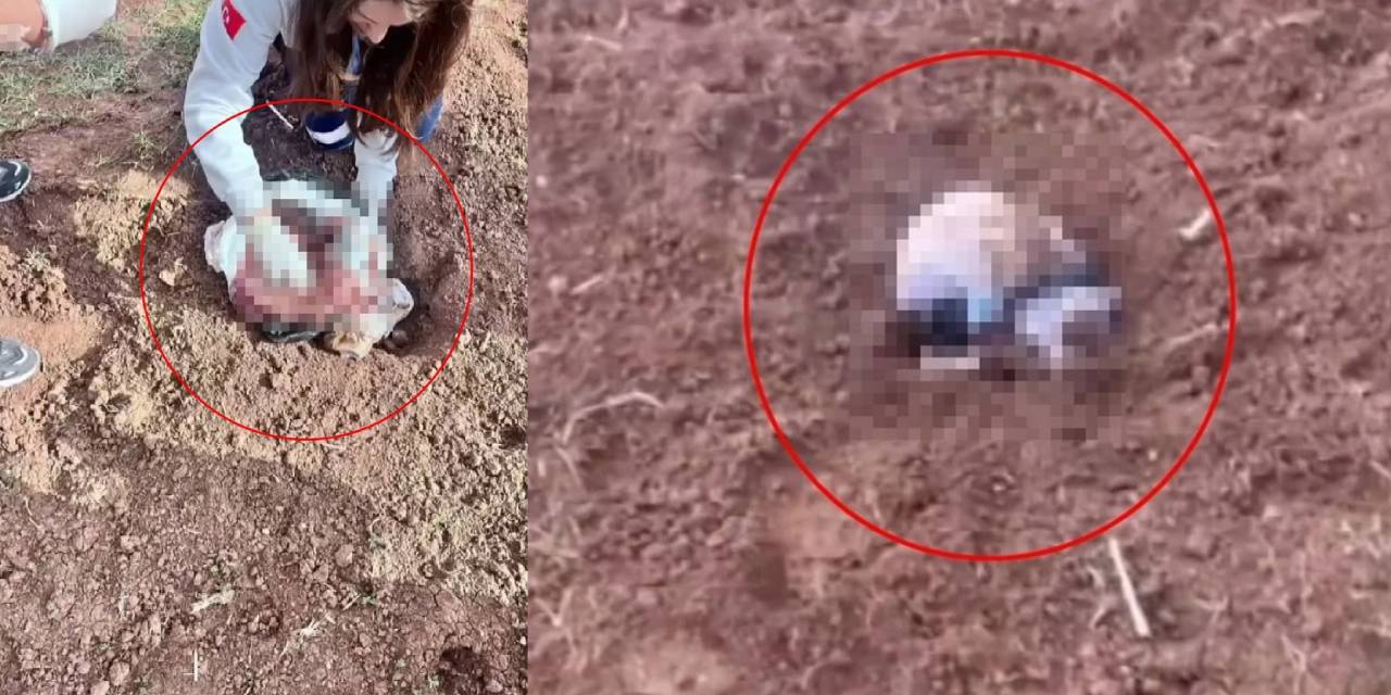 Yenidoğan kız bebeğin katili 'tanıdık' çıktı