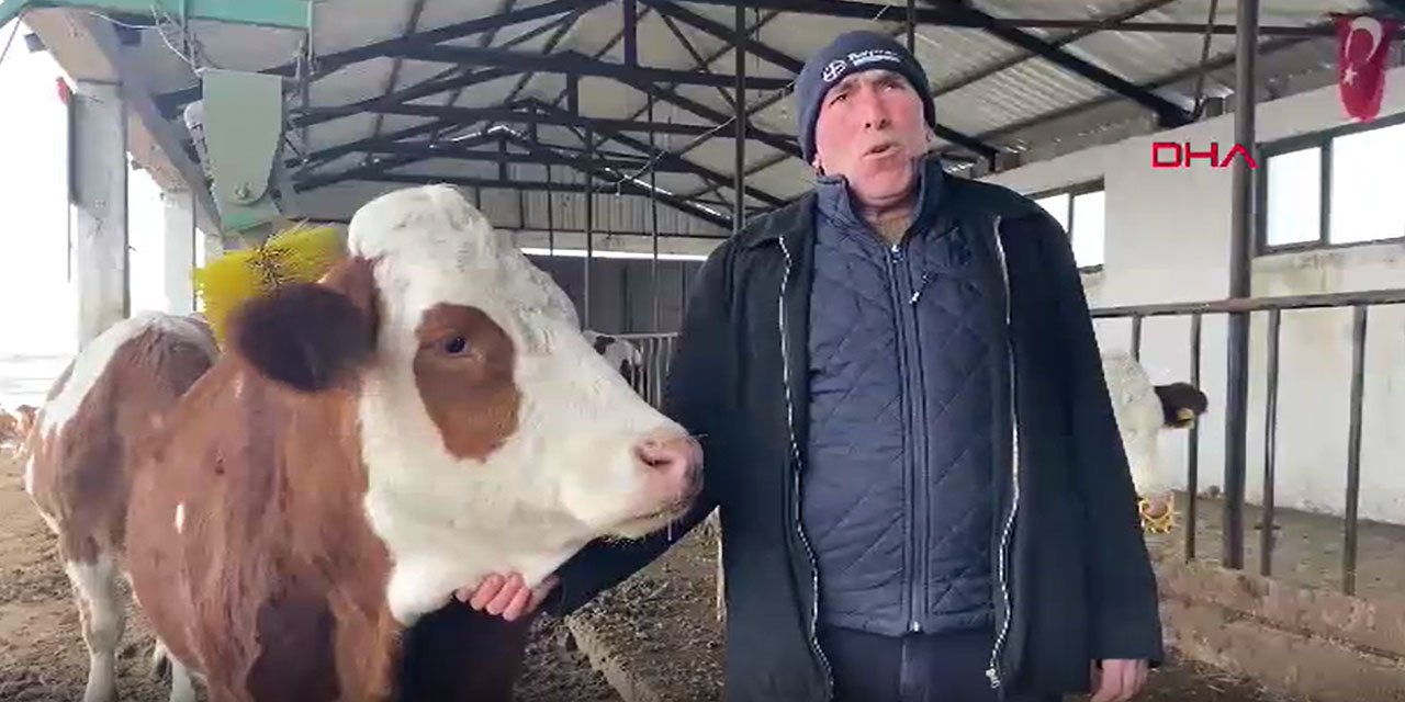 Dondurucu soğukta yarı açık ahırda hayvancılık yapıyor