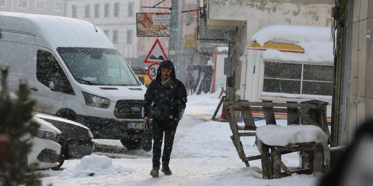 Ardahan ve Kars'ta kar yağışı etkili oldu