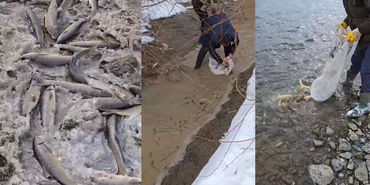 Kıyamet görüntüleri Kars'tan! Köylüler çuvallara koyup koyup dereye koştu