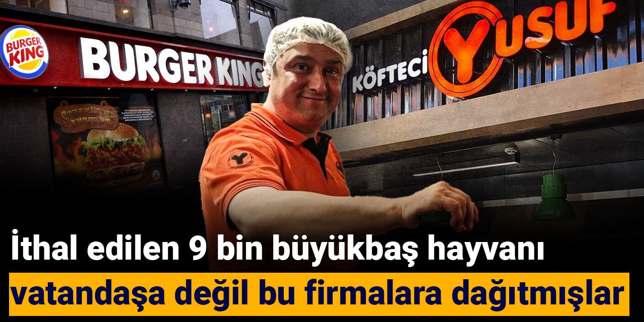 İthal edilen 9 bin büyükbaş hayvanı vatandaşa değil bu firmalara dağıtmışlar