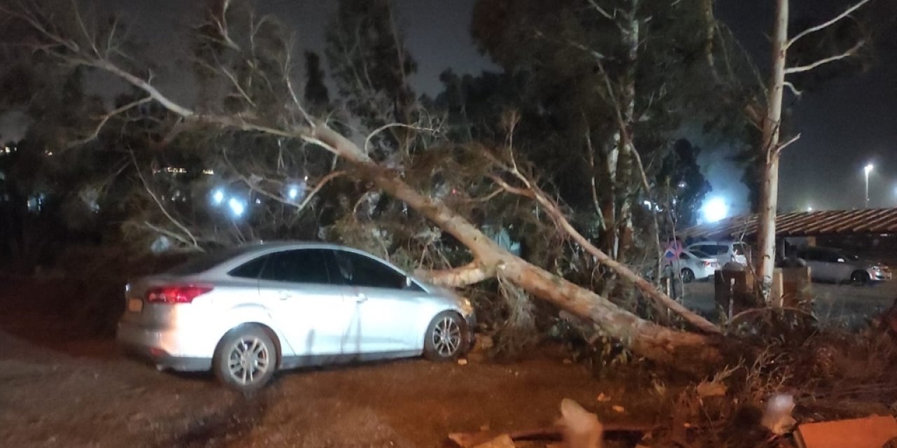 Hatay'da fırtına: Tekneler alabora oldu, ağaçlar devrildi