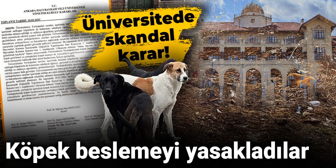 Üniversitede skandal karar! Köpek beslemeyi yasakladılar