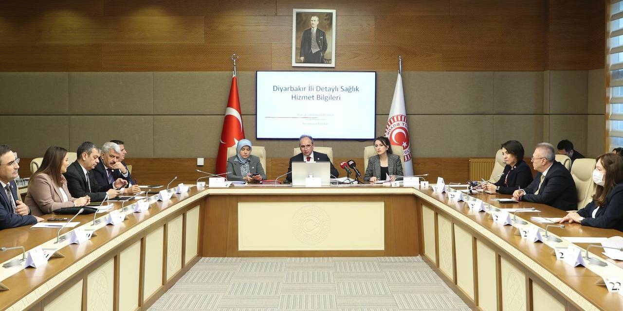 Komisyon: Bebek ölümlerinin nedeni özel hastanelerin artması