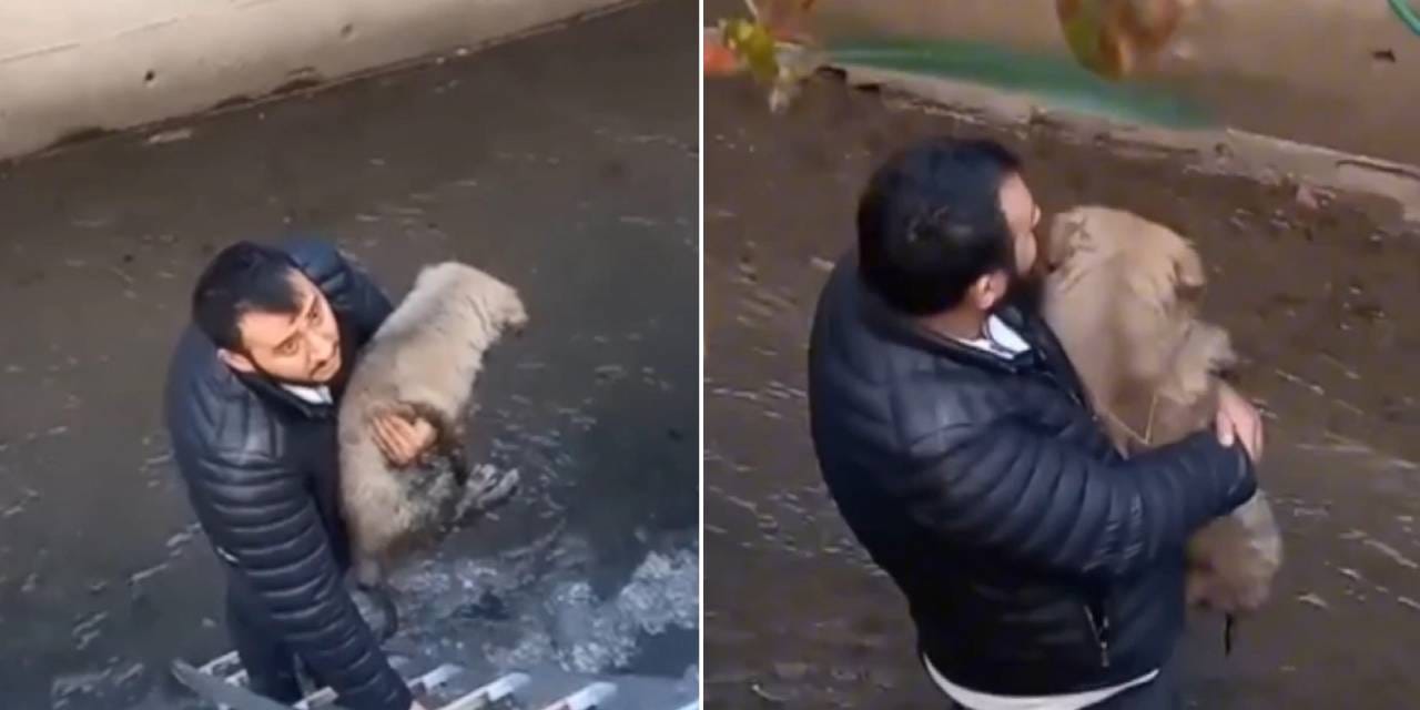 Köpeğini kurtarmak isterken derede mahsur kaldı