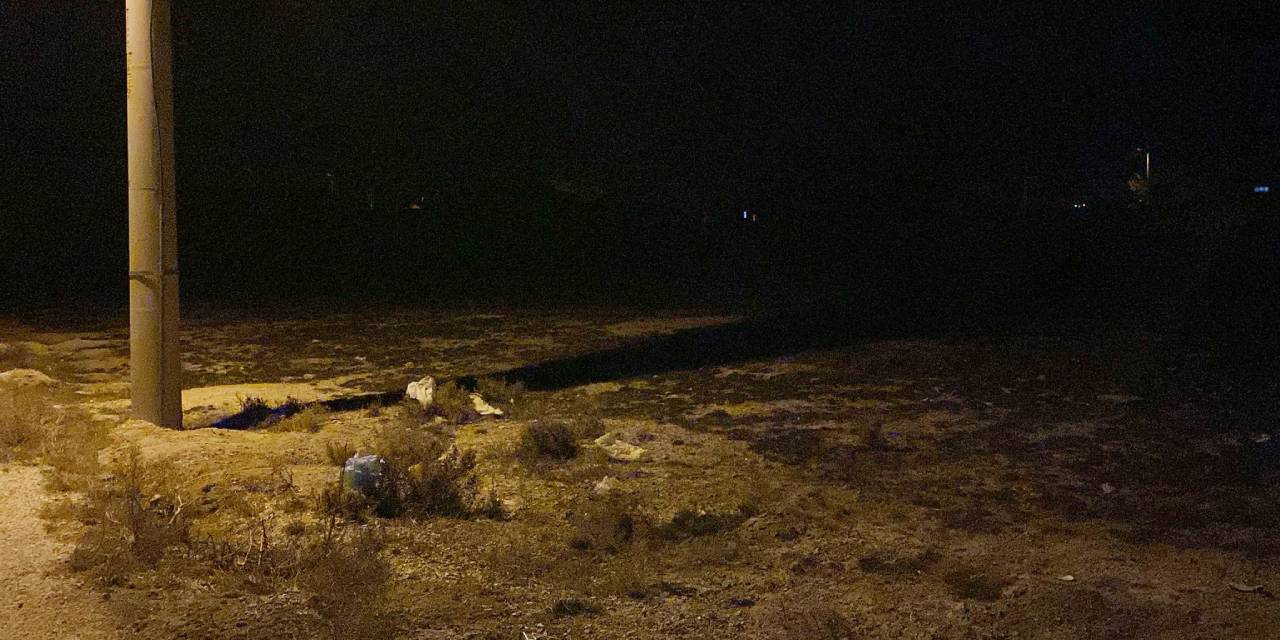 Sahipsiz köpeklerin saldırısına uğrayan 2 yaşındaki bebek hayatını kaybetti