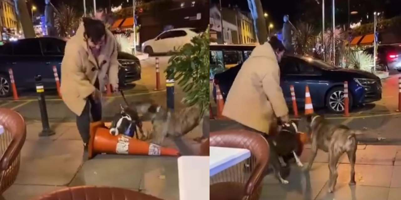 Pitbull'un duba saldırısına 76 bin ceza