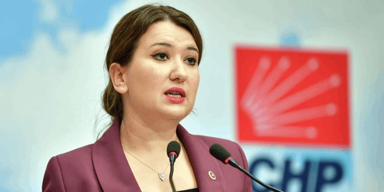 CHP'li Gökçen'den Alevi katliamına sert tepki: Pempe tablo yalanlandı