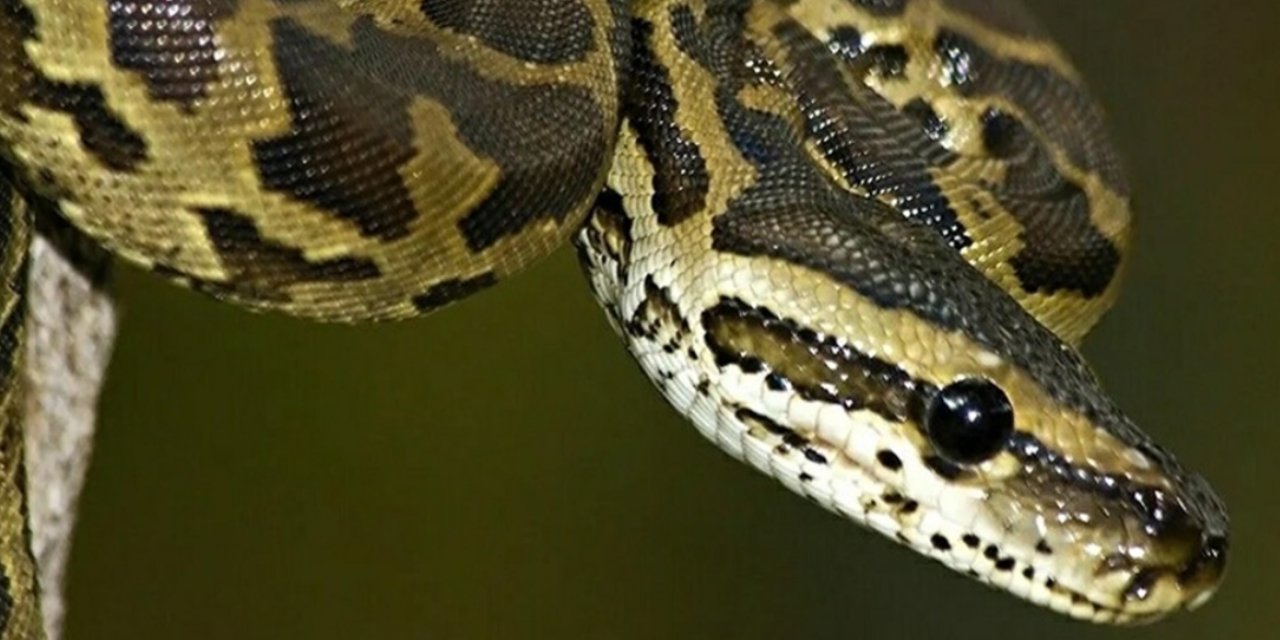 Haberi okuyan seyahat ederken 1 kere daha düşünecek