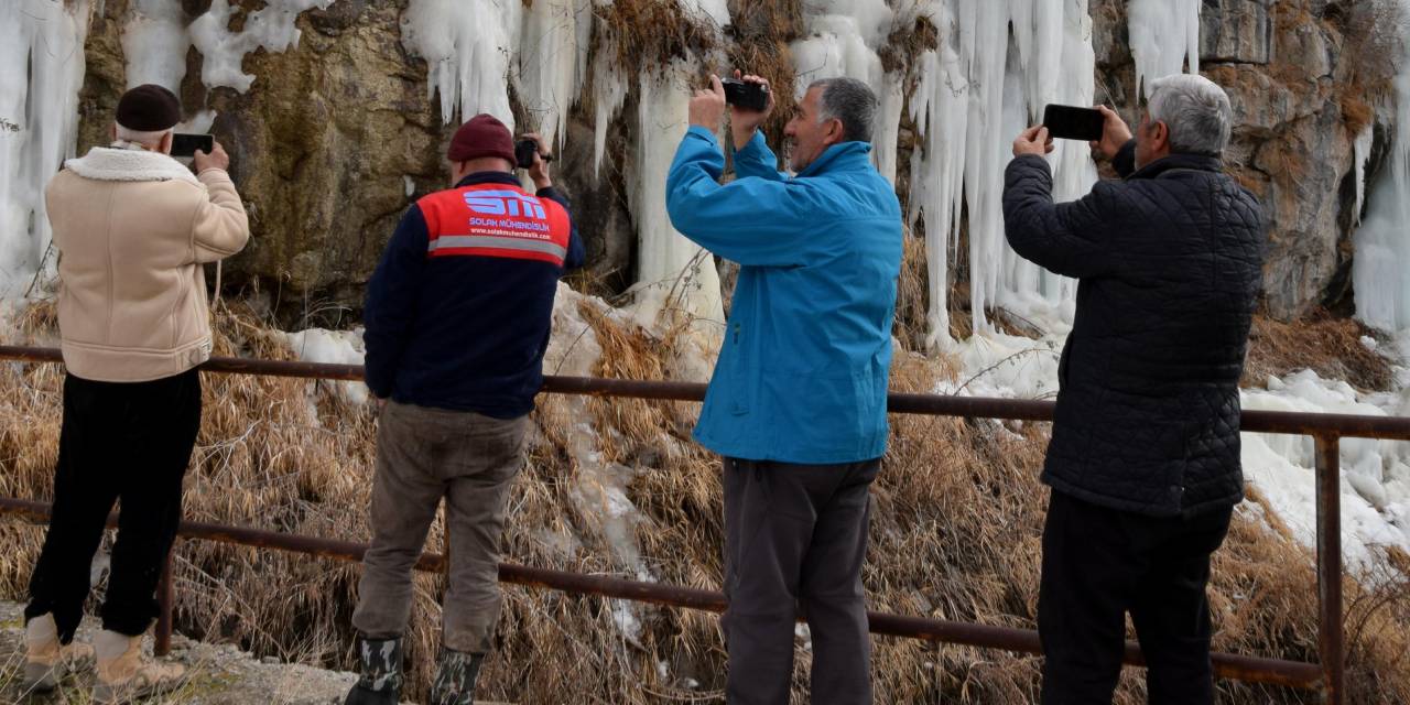 Van'da ilgi odağı oldu: Herkes telefona koştu