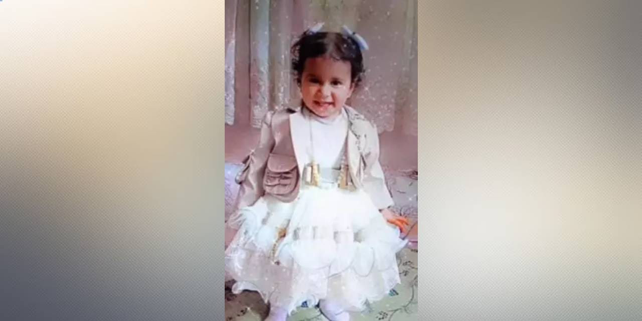 Köpeklerin saldırısına uğrayarak hayatını kaybetmişti: Rana'nın ön otopsisi tamamlandı