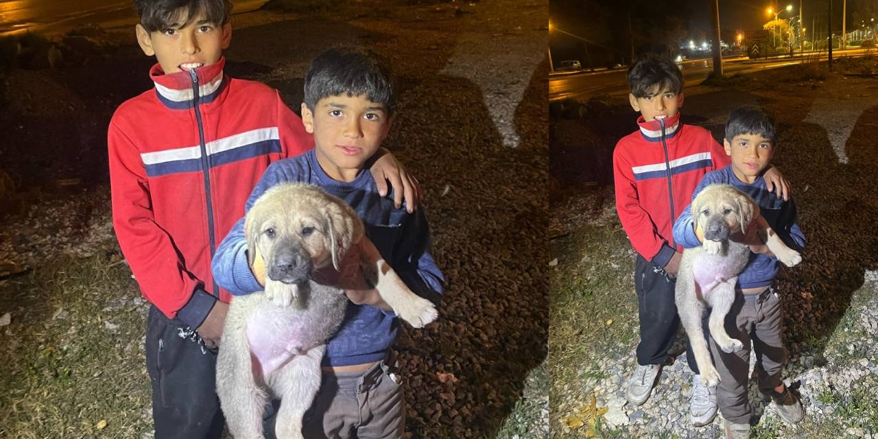 Yavru köpeği itfaiye kurtardı